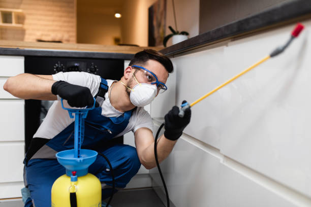 Best Wasp Removal Services  in New Philadelphia, OH