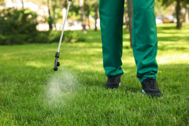 Best Termite Control Services  in New Philadelphia, OH