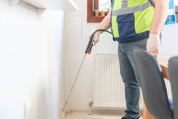 Best Wasp Removal Services  in New Philadelphia, OH