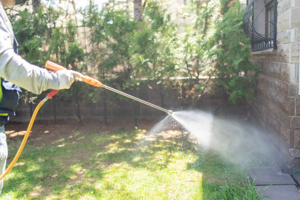 Best Commercial Pest Control Services  in New Philadelphia, OH