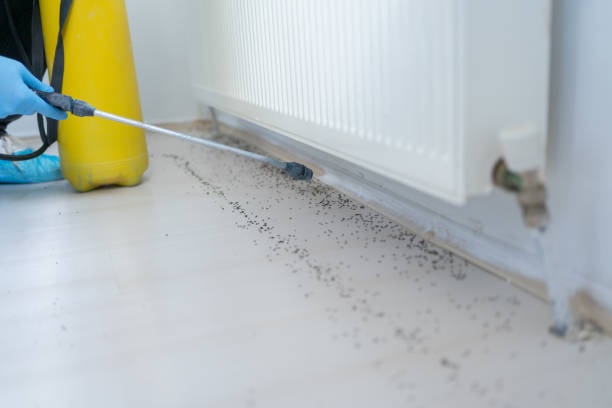 Best Residential Pest Control  in New Philadelphia, OH