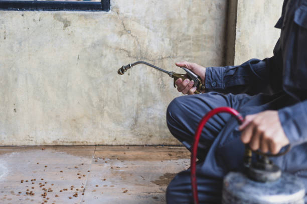Best Affordable Pest Control Services  in New Philadelphia, OH